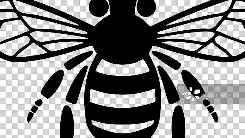 蜜蜂黑白矢量图图片素材