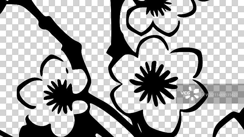 黑白樱花图片素材