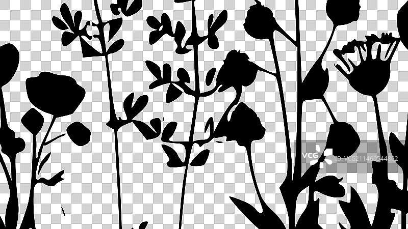 野花 - 黑白图片素材