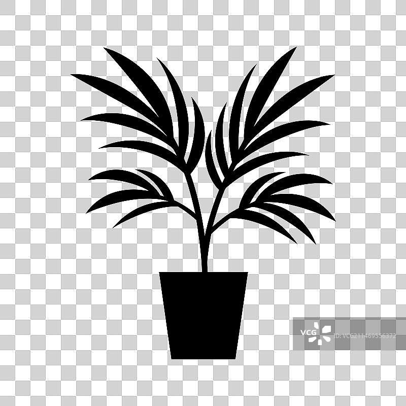 槟榔树植物图标图片素材