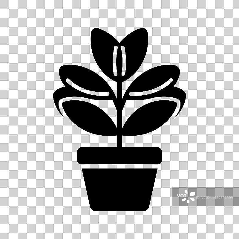 翡翠植物图标图片素材