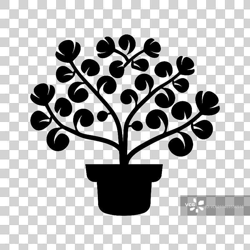 铁线蕨植物图标 - 简约图片素材