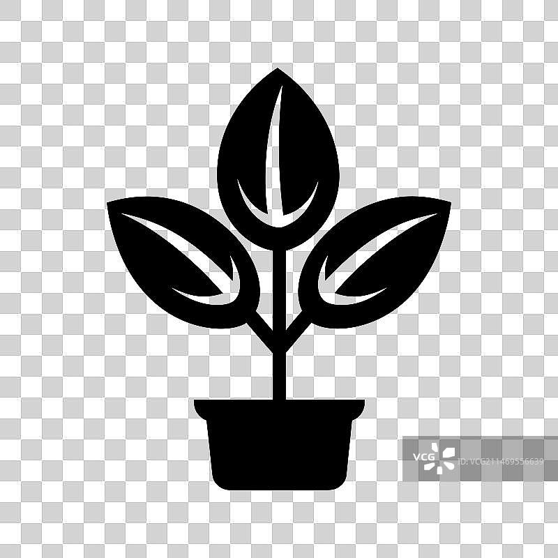 橡胶植物图标 - 简约风格图片素材