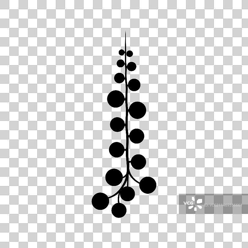 弦月形珍珠吊兰植物图标图片素材