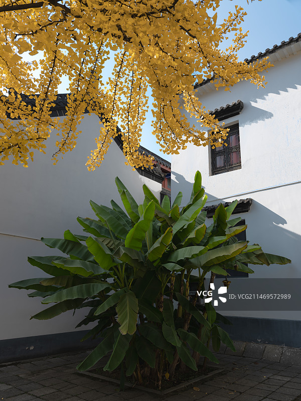 武汉归元禅寺图片素材