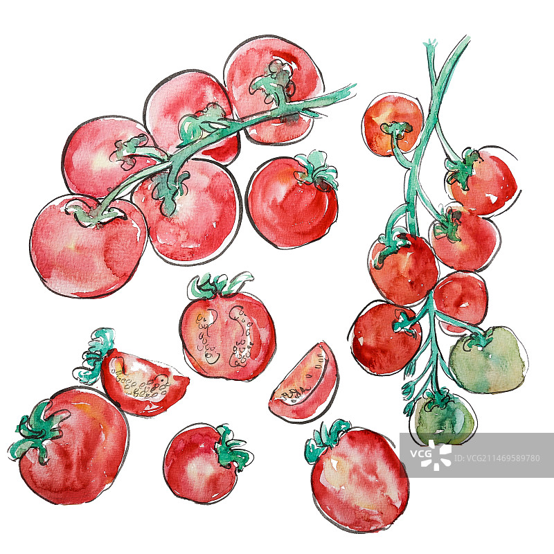 水彩西红柿图片素材