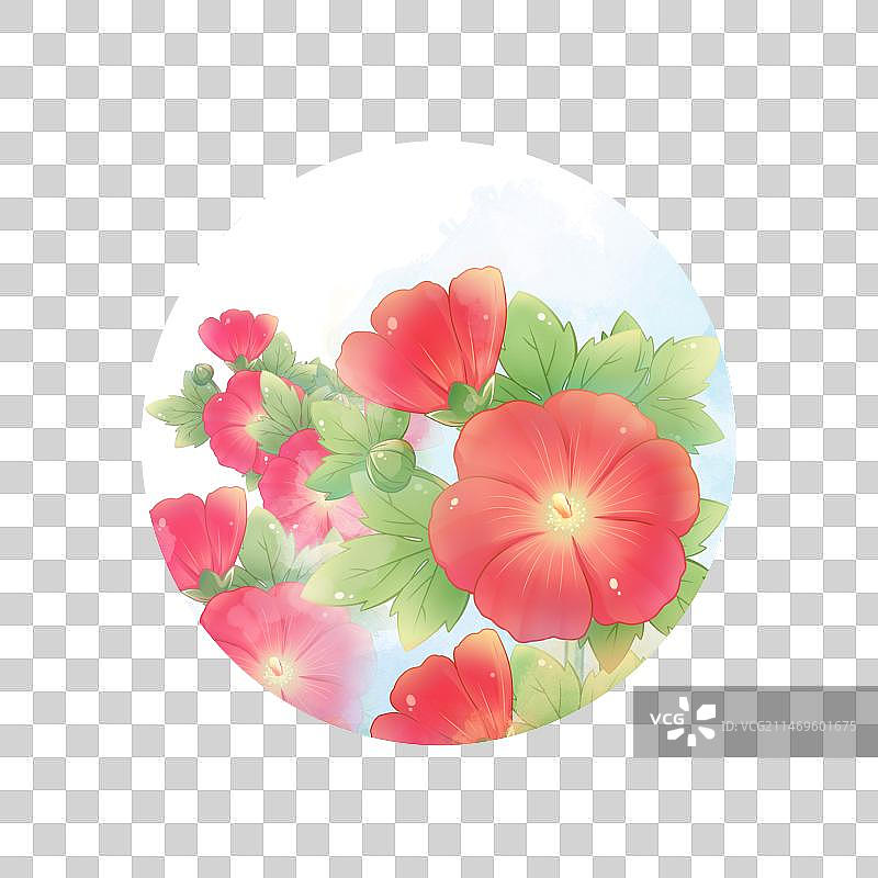 蜀葵，清新卡通花卉系列免扣元素图片素材