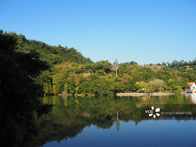 十一月的仙湖植物园图片素材