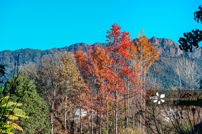 黟县屏山村图片素材