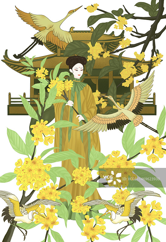 桂花花神图片素材