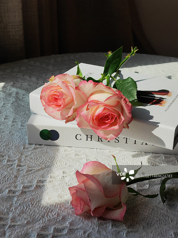 桌上玫瑰的高角度视图图片素材