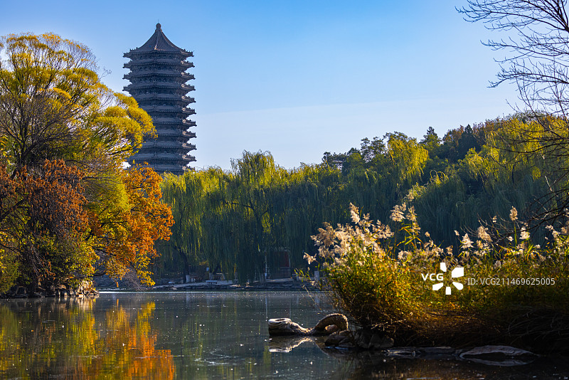 未名湖的秋天图片素材