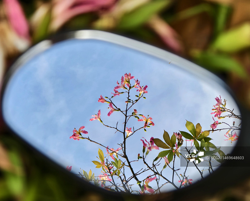 冬日暖阳图片素材