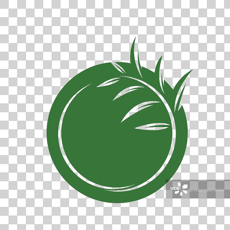 桉树叶元素设计模板图片素材