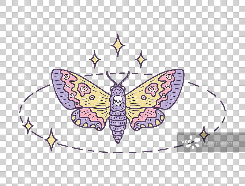 圆形鬼脸天蛾图片素材