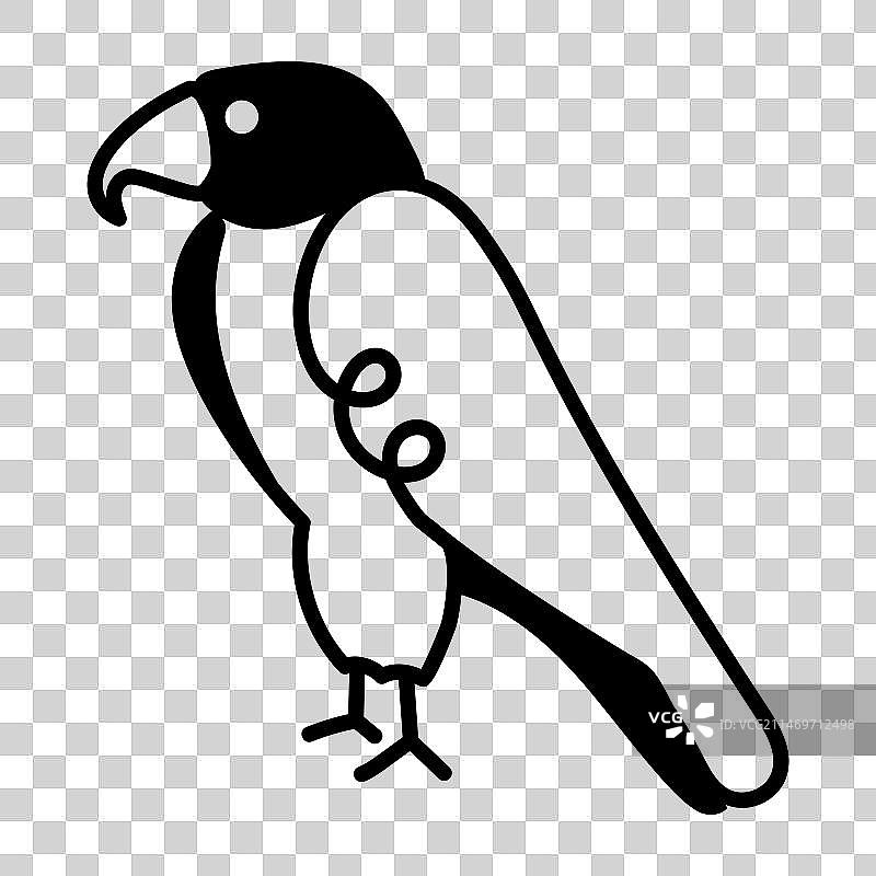 猎隼鸟类图片素材