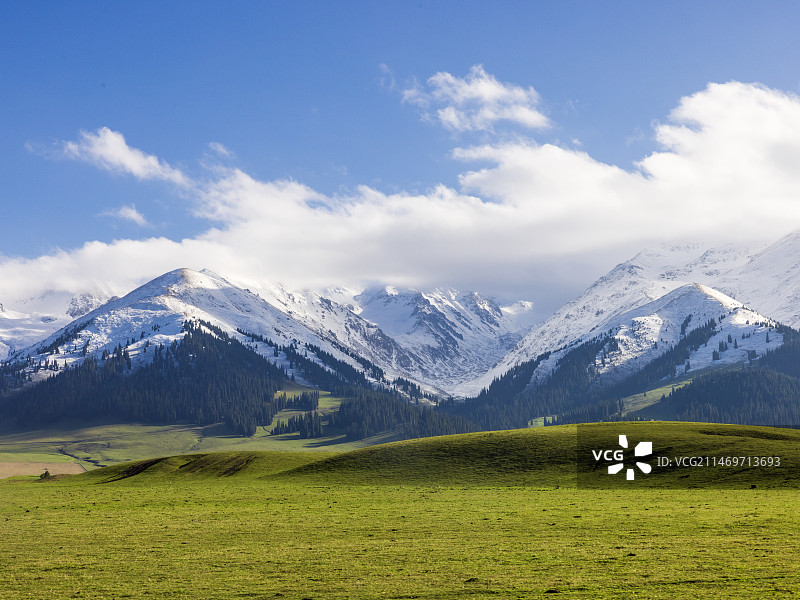 那拉提草原上的雪山美景图片素材