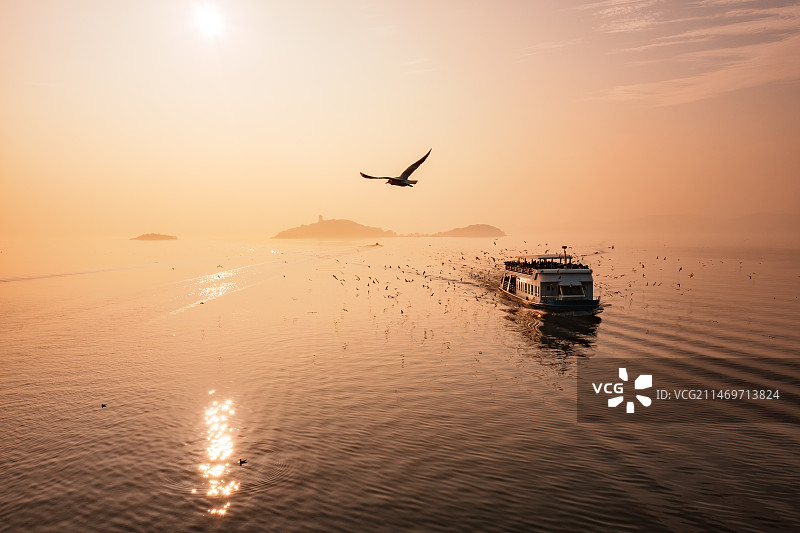 航拍冬日暖阳下游船从太湖仙岛出发的游轮被来无锡过冬的红嘴鸥包围的视角图片素材