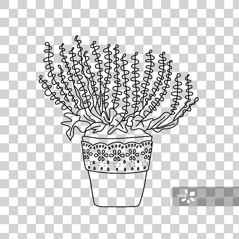 陶瓷盆栽中盛开的石楠花涂鸦图片素材