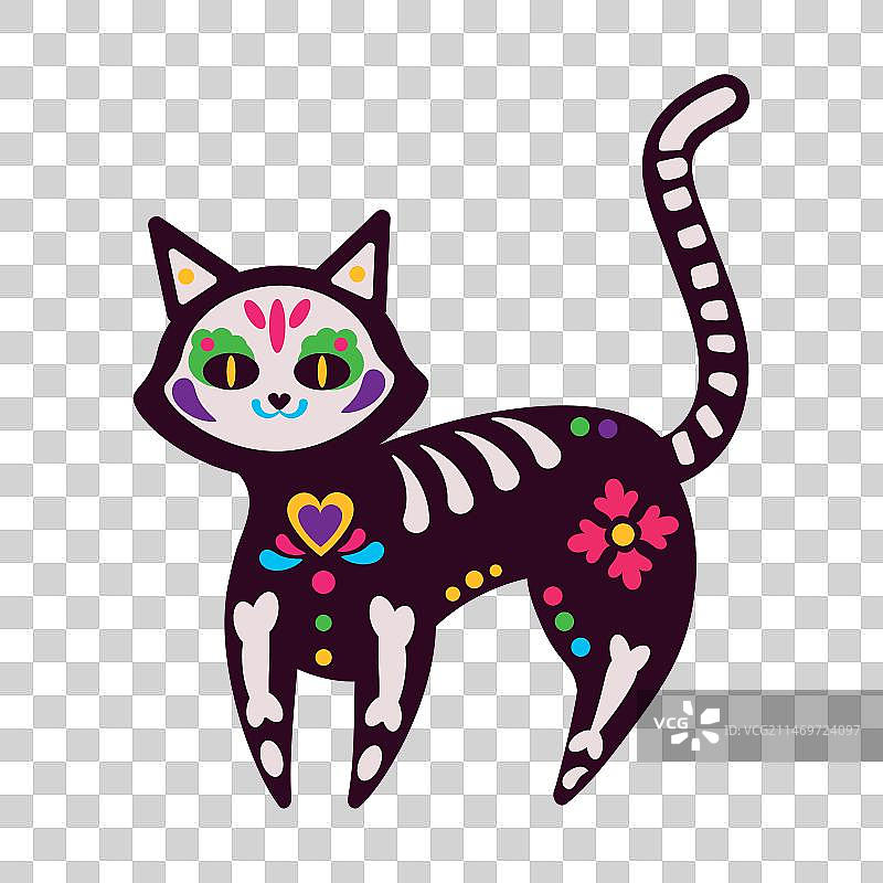 墨西哥动物猫图片素材