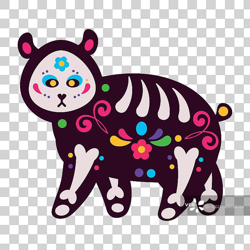 墨西哥熊类动物图片素材