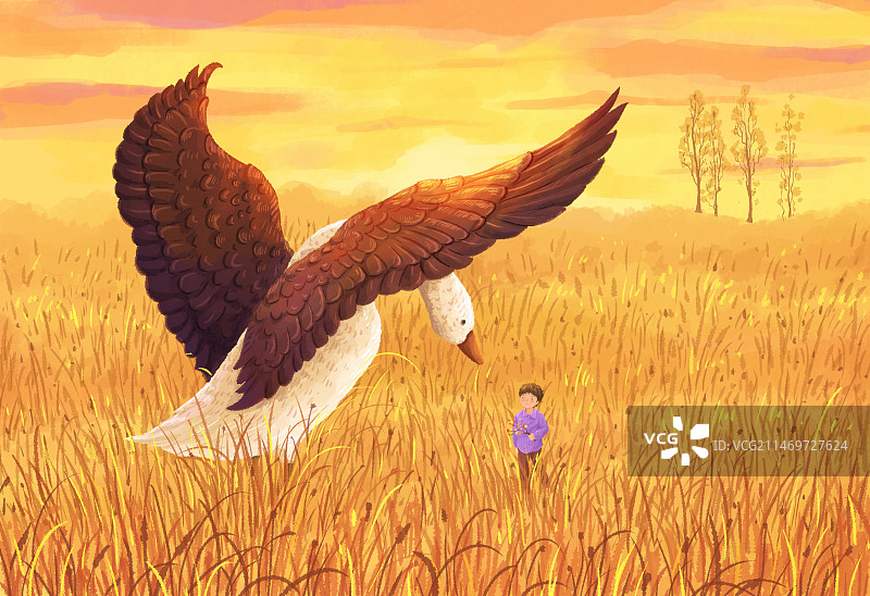 秋天男孩和大雁插画图片素材