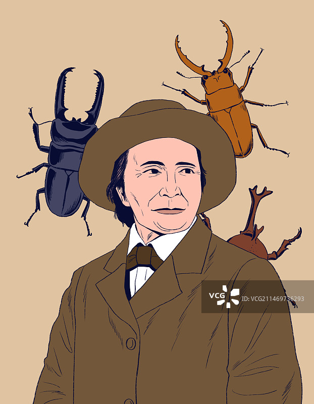 伟大的博物学家：让·亨利·法布尔与昆虫图片素材
