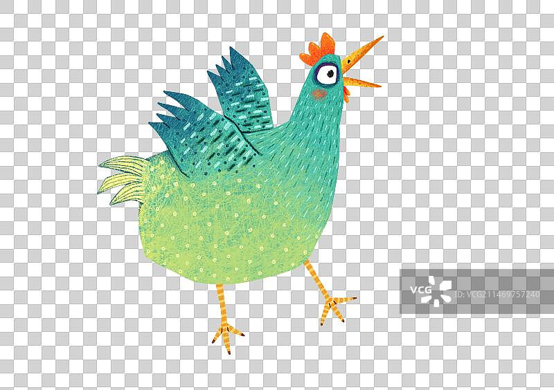 免抠元素 PNG插画 一只蓝绿色的老母鸡图片素材