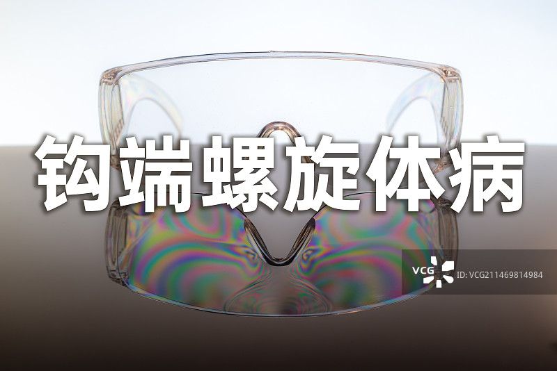 钩端螺旋体病（Leptospirosis） 钩体病 细螺旋体症 威尔士病概念图片素材