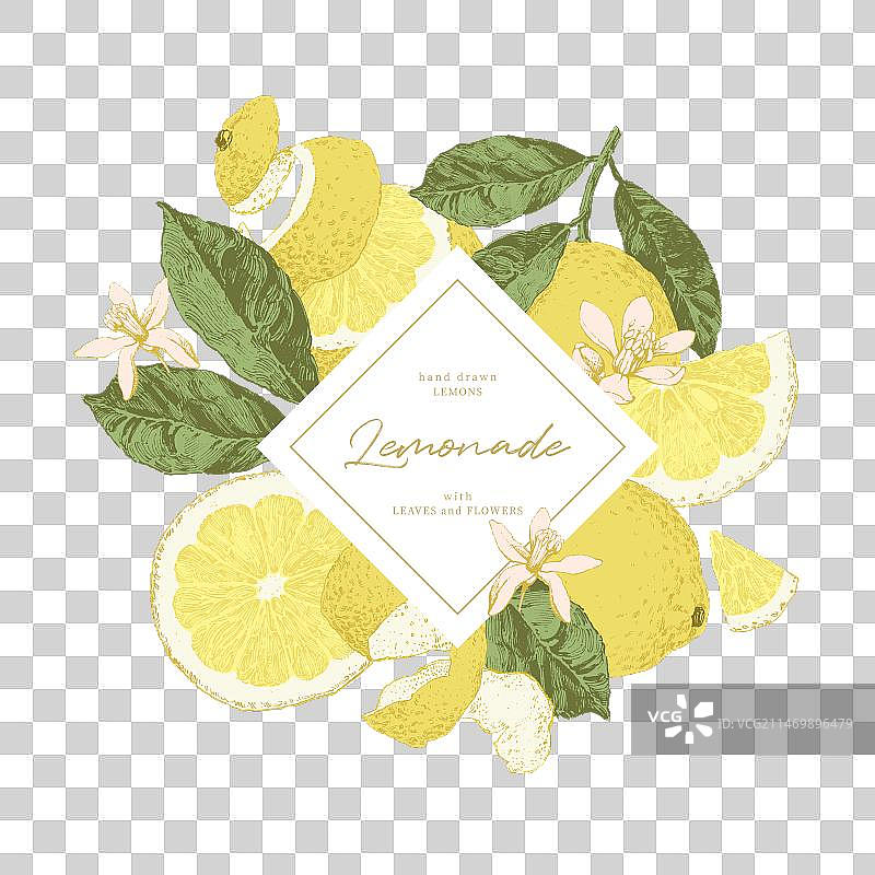 柠檬水果组合图片素材