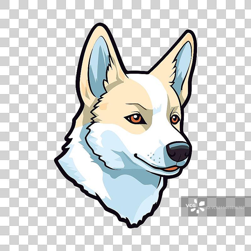 迦南犬品种可爱卡通形象图片素材