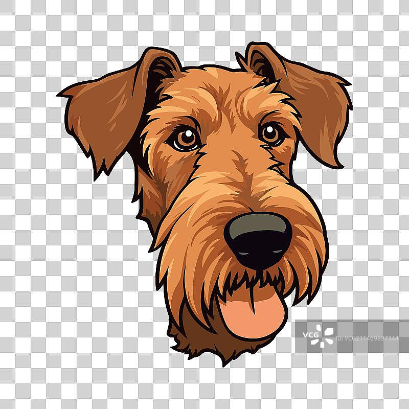 可爱的卡通风格爱尔兰梗犬图片素材