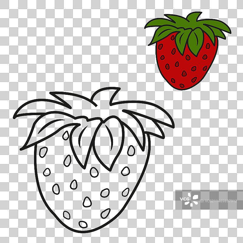 儿童填色书：成熟的草莓图片素材