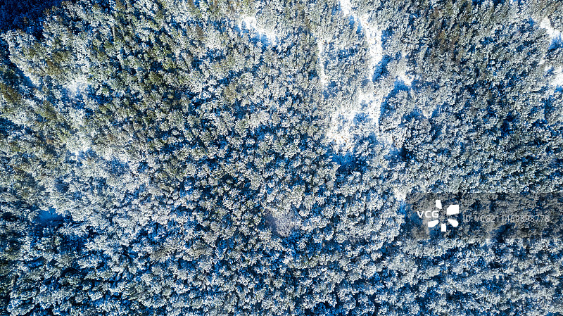 山东济南燕子山cbd城市小区住房山顶树木冬天航拍图片素材