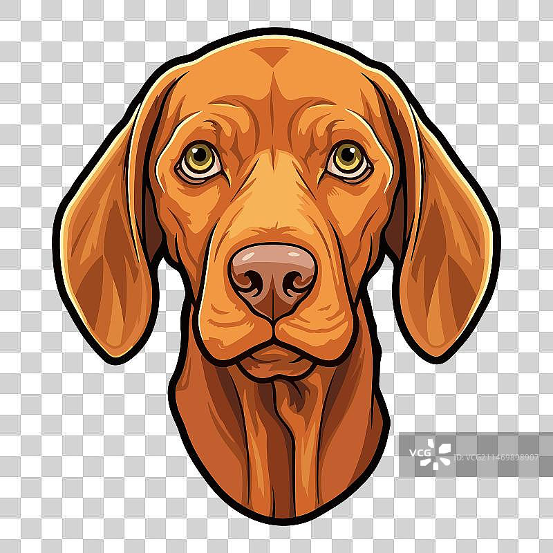 维兹拉犬品种可爱卡通形象图片素材