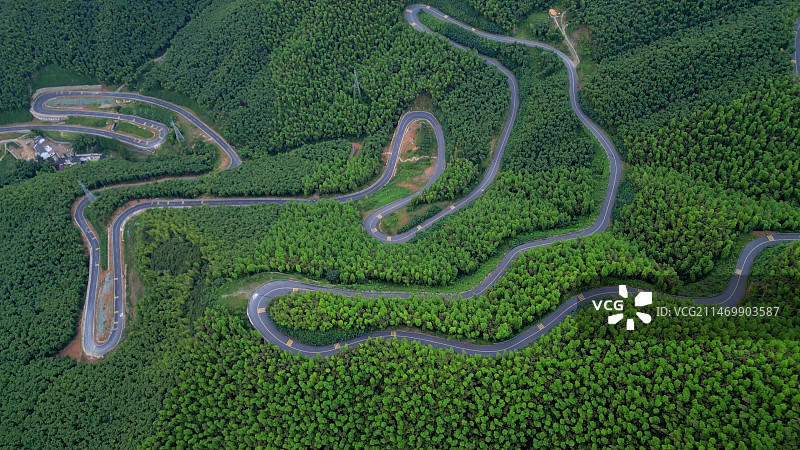 安吉大竹海图片素材