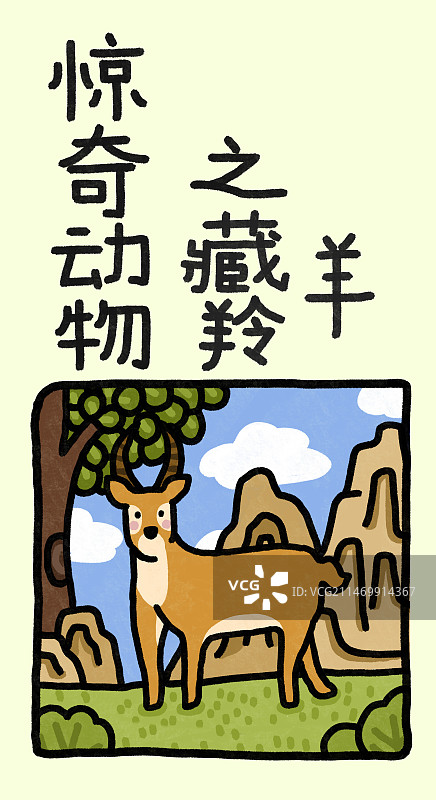 惊奇动物系列之藏羚羊图片素材