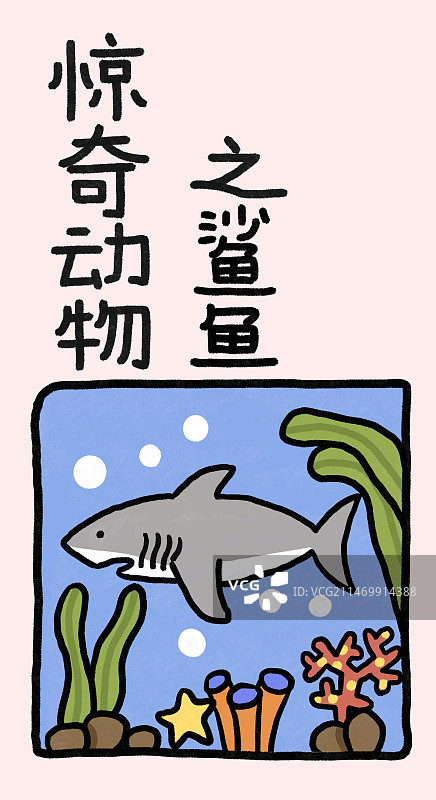 惊奇动物系列之鲨鱼图片素材