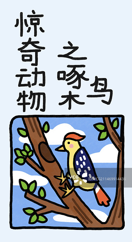 惊奇动物系列之啄木鸟图片素材