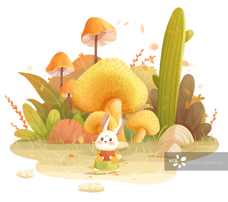秋日兔兔写生图片素材