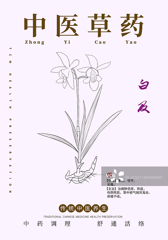 手绘中草药白及特写植物插画版式设计海报图片素材