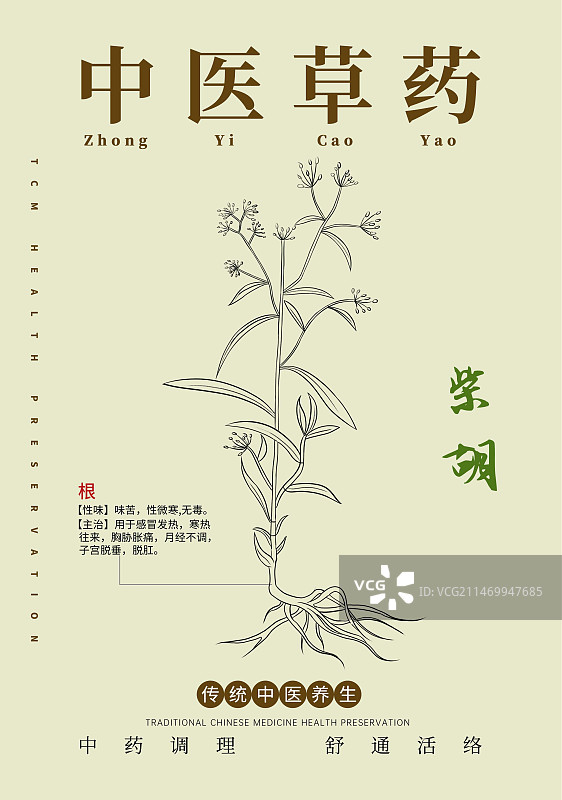 手绘中草药柴胡特写植物插画版式设计海报图片素材