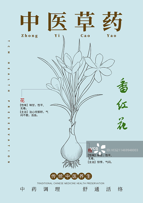 手绘中草药番红花特写植物插画版式设计海报图片素材