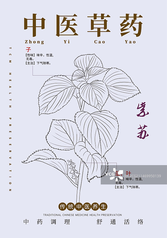 手绘中草药紫苏特写植物插画版式设计海报图片素材