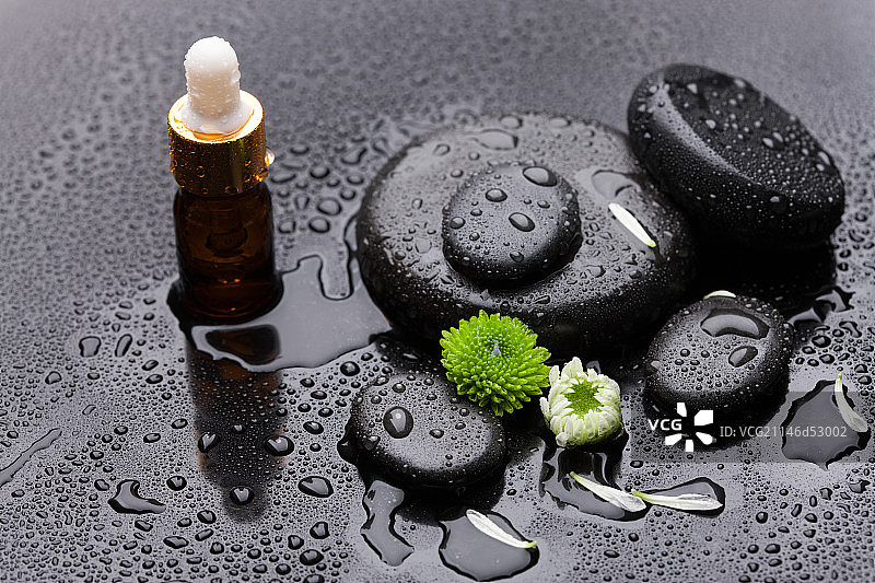 黑色鹅卵石和菊花特写图片素材