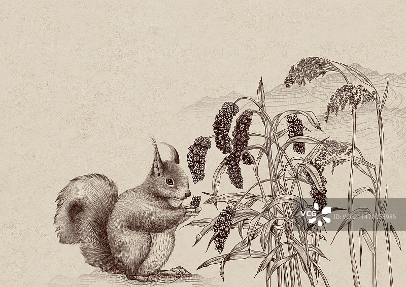 松鼠杂粮图片素材