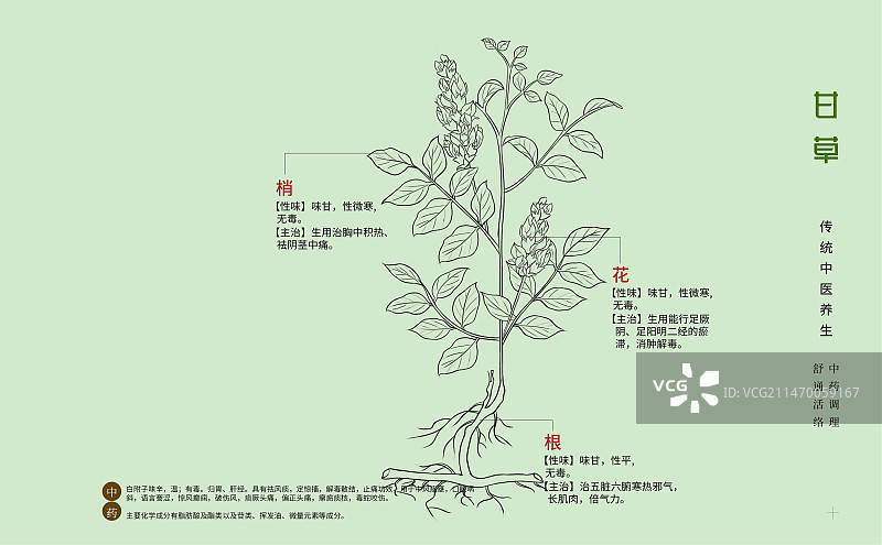 手绘中草药甘草特写植物插画横版版式设计海报图片素材