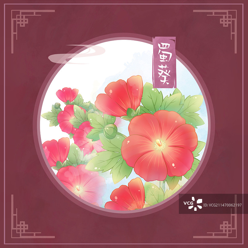 蜀葵，国潮复古水彩花卉系列插画图片素材
