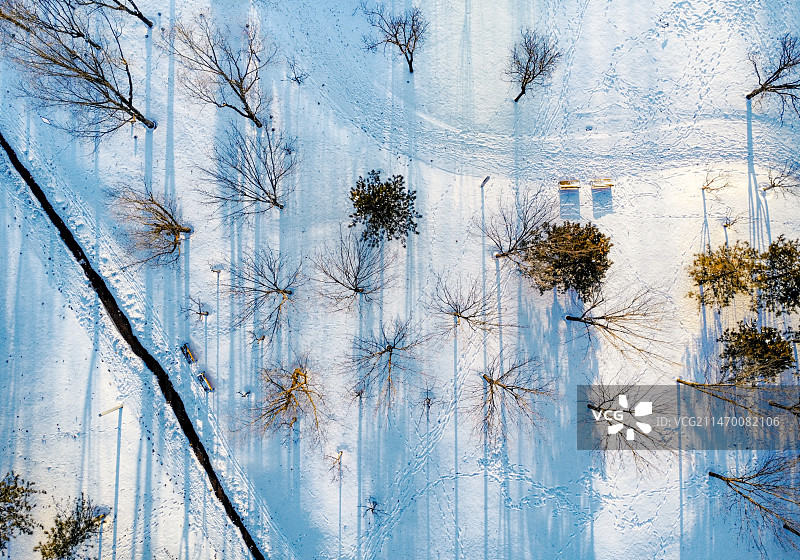 中央公园朝阳下的冬季雪影图片素材
