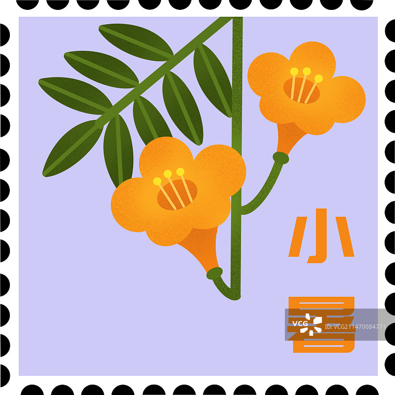二十四节气对应花卉邮票模板图片素材